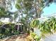 Lush backyard featuring tropical landscaping, palm trees, and a privacy fence at 7943 Woodvine Cir, Tampa, FL 33615