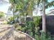 Backyard landscaping of palm trees and tropical plants around a storage shed and black fence at 7943 Woodvine Cir, Tampa, FL 33615