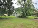 Green backyard with mature trees surrounding the property at 702 Hillsboro St, Plant City, FL 33563