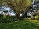 Serene backyard featuring a large tree, lush greenery, and a quaint bench for relaxation and enjoying the outdoors at 1608 Bob O Link Dr, Venice, FL 34293