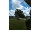 Landscaped front yard with palm trees and a view of the street at 1608 Bob O Link Dr, Venice, FL 34293