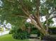Landscaped backyard with a large tree, stone path, and a wooden bench at 1608 Bob O Link Dr, Venice, FL 34293