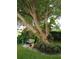 Landscaped backyard with a large tree, stone path, and a wooden bench at 1608 Bob O Link Dr, Venice, FL 34293