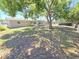 Large backyard featuring a mature shade tree with low-maintenance landscaping at 4823 Blossom Dr, Holiday, FL 34690