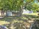 Large backyard with a shed and mature shade trees at 4823 Blossom Dr, Holiday, FL 34690