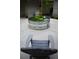 Backyard with a metal pond surrounded by chairs at 3703 Cooper Rd, Plant City, FL 33565