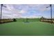 Enjoy the outdoor basketball court with green surface, hoop, and netting at 17212 Savory Mist Cir, Lakewood Ranch, FL 34211