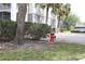 Exterior view of a fire hydrant on the community grounds surrounded by trees at 5613 Legacy Crescent Pl # 201, Riverview, FL 33578