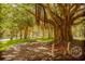 Scenic park featuring a large banyan tree, park benches, and lush greenery perfect for relaxation at 233 Snyder Dr, Venice, FL 34292