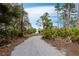 Long driveway approaching a serene home, surrounded by lush, natural Florida foliage at 233 Snyder Dr, Venice, FL 34292
