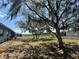 Spacious backyard with large oak trees and fenced pasture at 40610 State Road 64 E, Myakka City, FL 34251
