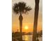 Sunset view between palm trees over water at 6009 Sea Ranch Dr # 214, Hudson, FL 34667