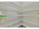 Walk-in pantry with ample shelving for storage at 1005 Sonesta Ave, Brandon, FL 33511