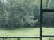 The backyard view from the screened patio shows lush greenery at 10453 Westpark Preserve Blvd, Tampa, FL 33625