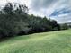 Serene backyard view with lush greenery and water feature at 10453 Westpark Preserve Blvd, Tampa, FL 33625