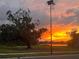 Community sunset view with mature tree and pond at 12764 Weston Oaks Ln, Riverview, FL 33579