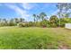 A home's backyard showing a grass lawn and tropical vegetation at 8489 Topeka Cir, Port Charlotte, FL 33981