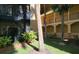 Private condo courtyard with tropical landscaping and a screened patio at 4333 Bayside Village Dr # 314, Tampa, FL 33615