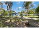 Backyard view of the home featuring a grassy area and mature trees at 1724 Harbor Dr, Clearwater, FL 33755