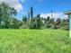 Lush overgrown yard featuring beautiful foliage and plants providing privacy and natural beauty at 23113 Brewer Ave, Punta Gorda, FL 33980