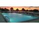 Relaxing outdoor pool surrounded by seating and tropical plants with sunset views at 6009 Sea Ranch Dr # 101, Hudson, FL 34667