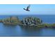 Waterfront view showcasing natural beauty with lush trees and a soaring bird at 6009 Sea Ranch Dr # 101, Hudson, FL 34667