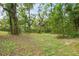 Sprawling backyard of home with mature trees, grass and foliage at 6005 Ike Smith Rd, Plant City, FL 33565