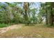Heavily wooded backyard with foliage and distant view of house at 6005 Ike Smith Rd, Plant City, FL 33565