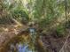 Picturesque drainage ditch is surrounded by lush greenery, providing natural drainage and adding to the landscape at 6005 Ike Smith Rd, Plant City, FL 33565