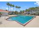 Beautifully maintained community pool with palm trees and lounge chairs at 18001 Richmond Place Dr # 126, Tampa, FL 33647