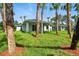 The backyard has tropical landscaping, including palm trees, with a home in the background at 4146 New Milford St, North Port, FL 34288