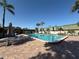 Enjoy the outdoors with a large rectangular pool and lounge seating, surrounded by mature palms at 1799 N Highland Ave # 143, Clearwater, FL 33755