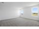 Spacious bedroom with neutral carpet, white walls, and abundant natural light from two windows at 6046 Jensen View Ave, Apollo Beach, FL 33572