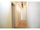 Inviting hallway with hardwood floors, neutral walls, and modern lighting at 10308 Soaring Eagle Dr, Riverview, FL 33578
