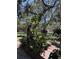 Beautifully landscaped yard featuring a variety of plants and trees at 870 Virginia St # 108, Dunedin, FL 34698