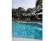 Community pool area with lounge chairs and umbrellas, surrounded by mature trees and lush landscaping at 870 Virginia St # 108, Dunedin, FL 34698