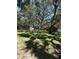Lush green yard with mature trees, offering shade and a serene outdoor space at 870 Virginia St # 108, Dunedin, FL 34698