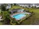 Aerial view of a community pool, hot tub, covered barbecue area and palm trees at 5367 Riverwalk Preserve Dr, New Port Richey, FL 34653