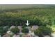 Aerial view of a home surrounded by trees and lush greenery at 4428 Winding River Drive, Valrico, FL 33596