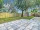 Spacious backyard featuring a storage shed, new wood fence, mature trees, and a concrete patio at 4202 W Bay Vista Ave, Tampa, FL 33611