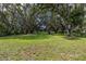 A beautiful backyard featuring an expansive lawn with large trees at 4401 W Sam Allen Rd, Plant City, FL 33565