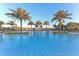 Beautiful community pool surrounded by swaying palm trees at 17109 Kenton Ter, Bradenton, FL 34202