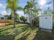 Grassy backyard with palm trees, wooden deck, white fencing and shed at 15810 2Nd E St, Redington Beach, FL 33708