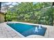 Beautifully screened-in pool featuring a relaxing spa and fountain water feature at 5016 Givendale Ln, Tampa, FL 33647