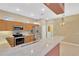 Well-equipped kitchen with stainless steel appliances, generous counter space, and modern lighting at 8049 Sanguinelli Rd, Land O Lakes, FL 34637