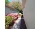Landscaped side yard with walkway and azaleas at 8049 Sanguinelli Rd, Land O Lakes, FL 34637