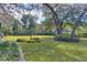 Spacious backyard with lush lawn, mature trees, and manicured hedges at 12945 Morris Bridge Rd, Thonotosassa, FL 33592