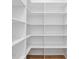 Walk-in closet featuring white shelving with adjustable levels and hardwood floor at 4005 W San Rafael St, Tampa, FL 33629