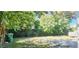 Large backyard with mature trees and chain link fence at 10008 N Jasmine Ave, Tampa, FL 33612