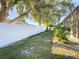 Fenced backyard with mature trees and landscaping at 3604 Rockaway Dr, Holiday, FL 34691